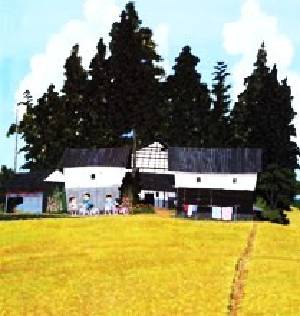0216-6.jpg