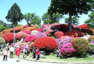 0401-6.jpg