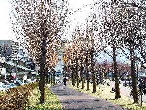 0323-4.jpg