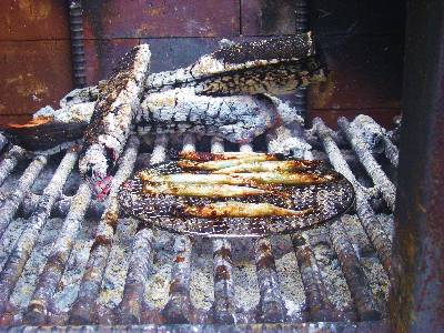 0505-6.jpg