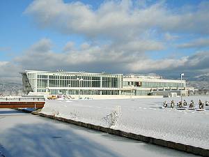 117-1.jpg