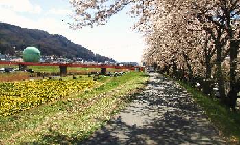 0416-1.jpg