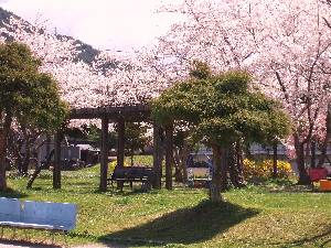 0416-2.jpg