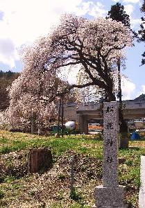 0416-5.jpg