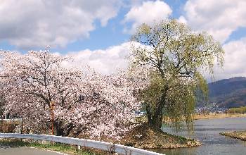 0416-6.jpg