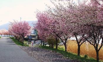 0416-8.jpg