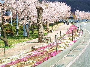 0416-9.jpg