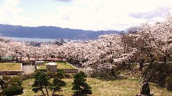 0416-10.jpg