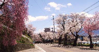0416-11.jpg