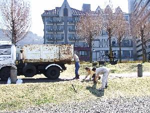 0410-4.jpg