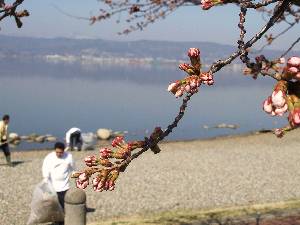 0410-3.jpg