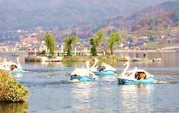 0429-7.jpg