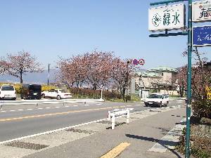 0410-6.jpg