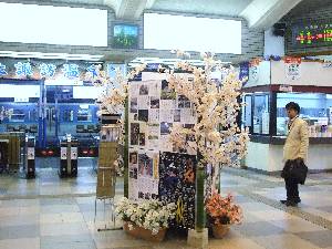 0407-1.jpg