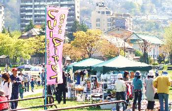 0429-10.jpg