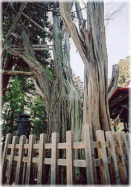 0619-3.jpg
