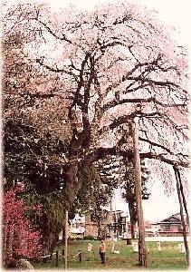 0409-2.jpg