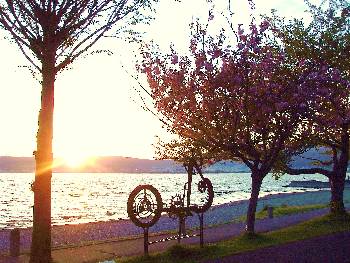 0428-3.jpg