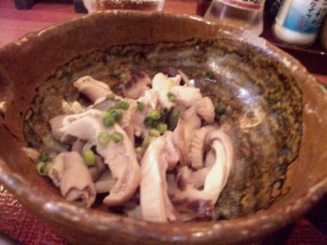 波照間・9