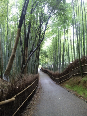 嵐山・6
