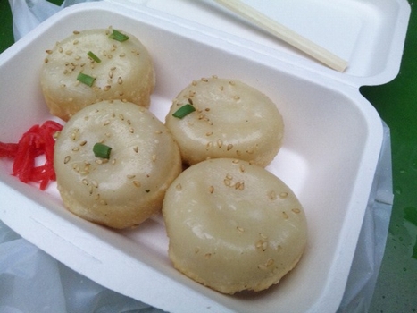 樹苞・4
