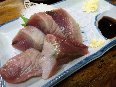 升本・3