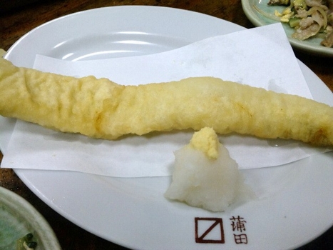 升本・5