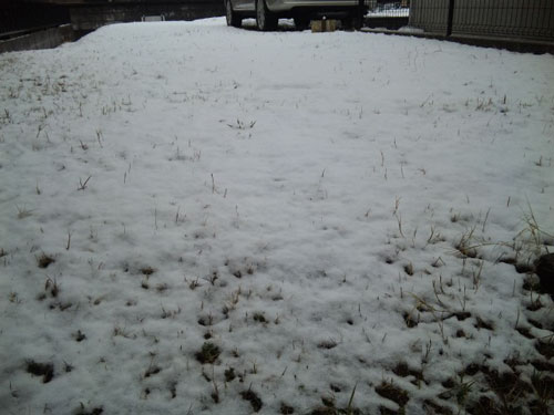 2011March07-004.jpg