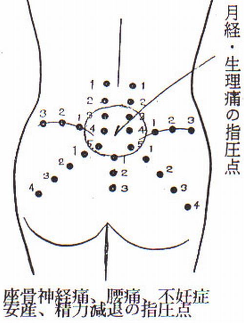 腰の痛みの指圧治療法 Vol 05 出張ご来店指圧マッサージ 篠原指圧ケア 楽天ブログ