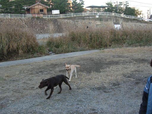 CIMG7427_512.JPG