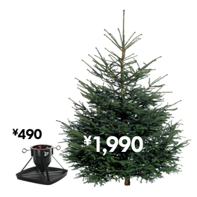 xmas_tree_279x279.gif