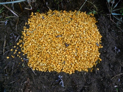 DSCN3225.jpg