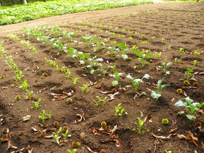 DSCN3170.jpg