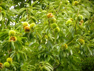 DSCN3316.jpg