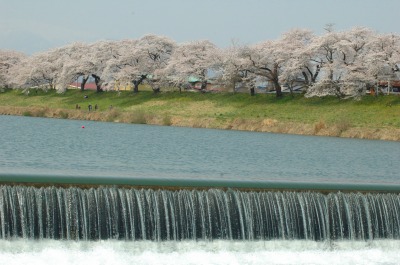 DSC_0050.jpg