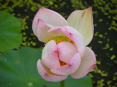 画像 003.jpg