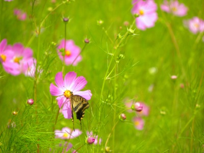 DSCN3184.jpg