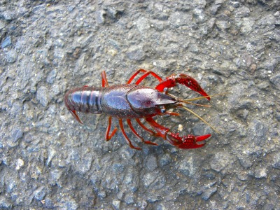 DSCN3109.jpg