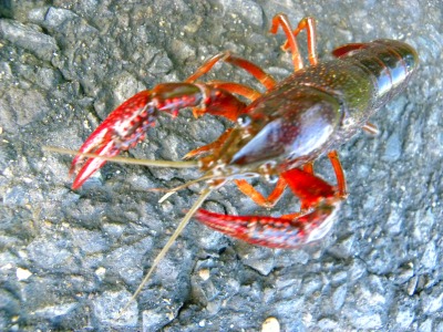 DSCN3114.jpg