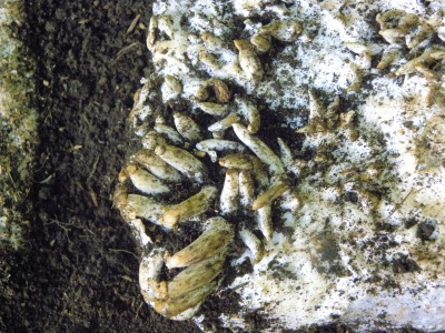 DSCN3200.jpg