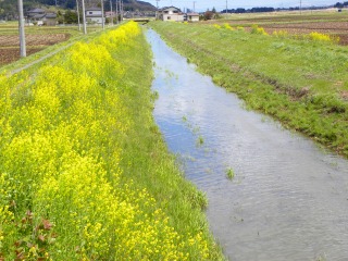 DSCN0041.jpg