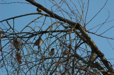 DSC_0002.jpg