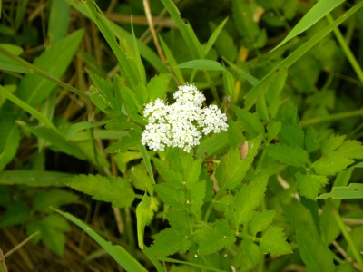 DSCN9069.jpg