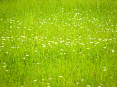 DSCN9065.jpg