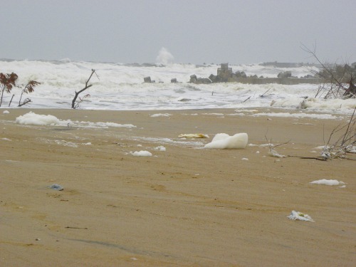 DSCN6065.jpg