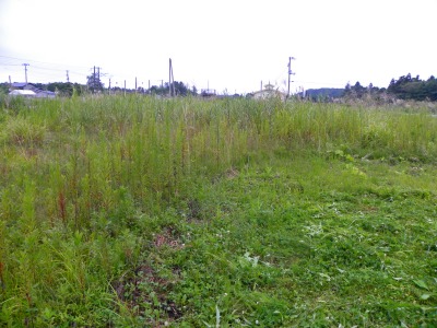 DSCN3242.jpg