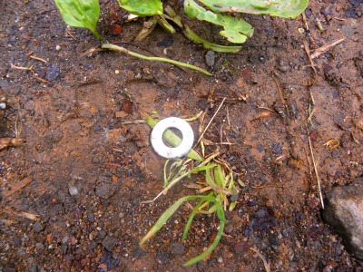 DSCN1936.jpg