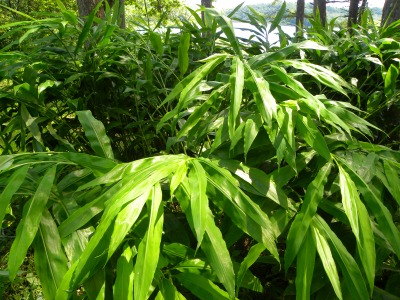 DSCN3057.jpg