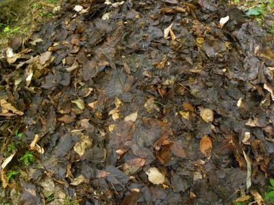 DSCN2368.jpg