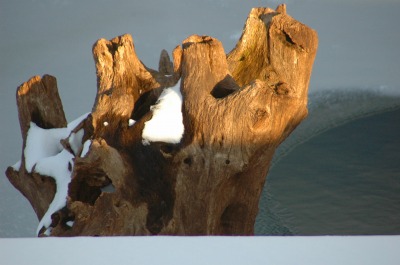 DSC_0064.jpg